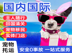 黔南荔波机场空运国际宠物托运 【国